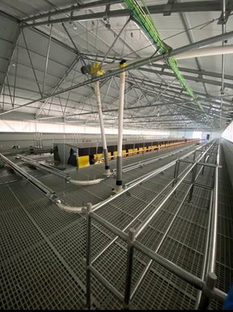 Kilka symptomów świadczących o tym, że warto zdecydować się na modernizację fermy