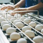 Co robić, aby kury znosiły dużo jajek?